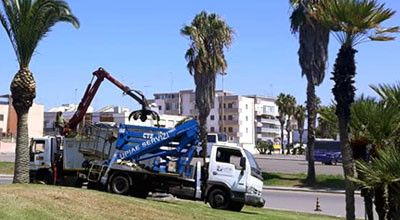 Richiesta disponibilità trasferimento nel settore Verde Pubblico, Manutentiv...