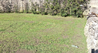 MANUTENZIONE DEL VERDE PUBBLICO CITTA' DI LECCE DAL 12 AL 17 GENNAIO 2026