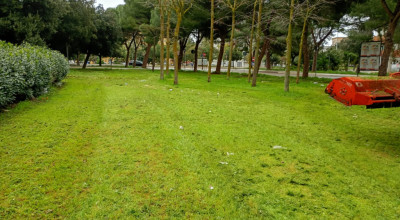MANUTENZIONE DEL VERDE PUBBLICO CITTA' DI LECCE DAL 16 AL 21 MARZO 2026