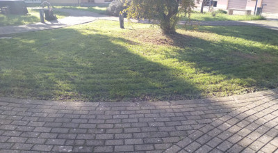  VERDE DAL 01.12.2025 AL 05.12.2025