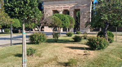 MANUTENZIONE DEL VERDE PUBBLICO CITTA' DI LECCE DAL 08 AL 13 GIUGNO 2026 