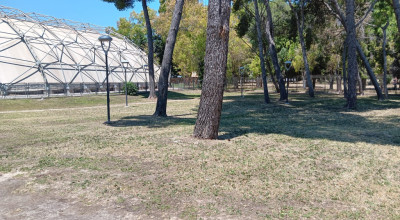 MANUTENZIONE DEL VERDE PUBBLICO CITTA' DI LECCE DAL 25 AL 30 MAGGIO 2026 