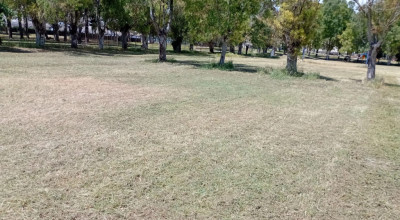 MANUTENZIONE DEL VERDE PUBBLICO CITTA' DI LECCE DAL 11 AL 16 MAGGIO 2026 