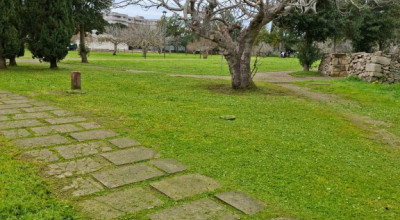 MANUTENZIONE DEL VERDE PUBBLICO CITTA' DI LECCE DAL 16 AL 21 FEBBRAIO 2026