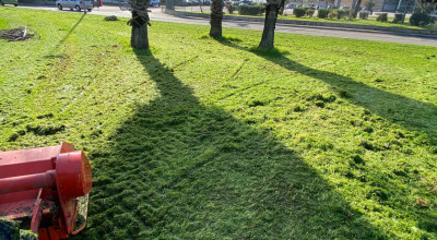MANUTENZIONE DEL VERDE PUBBLICO CITTA' DI LECCE DAL 28 AL 31 GENNAIO 2026