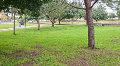 MANUTENZIONE DEL VERDE PUBBLICO CITTA' DI LECCE DAL 19 AL 24 GENNAIO 2026