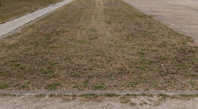 MANUTENZIONE DEL VERDE PUBBLICO CITTA' DI LECCE DAL 15 AL 20 GIUGNO 2026 