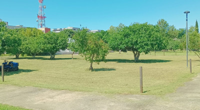 MANUTENZIONE DEL VERDE PUBBLICO CITTA' DI LECCE DAL 18 AL 23 MAGGIO 2026 