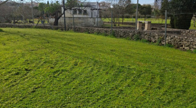 MANUTENZIONE DEL VERDE PUBBLICO CITTA' DI LECCE DAL 30 MARZO AL 04 APRILE 2026