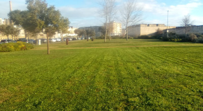 MANUTENZIONE DEL VERDE PUBBLICO CITTA' DI LECCE DAL 23 AL 28 FEBBRAIO 2026