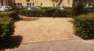 MANUTENZIONE VERDE PUBBLICO CITTA' DI LECCE DEL 24/07/2026