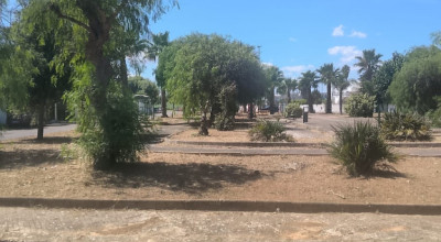 MANUTENZIONE VERDE PUBBLICO CITTA' DI LECCE DEL 27/07/2026