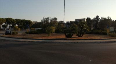 MANUTENZIONE VERDE PUBBLICO CITTA' DI LECCE DEL 29/07/2026