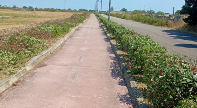 MANUTENZIONE VERDE PUBBLICO CITTA' DI LECCE DEL 05/08/2026