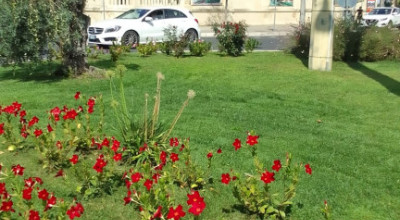 Esecuzione lavori verde pubblico dal  29.09.2025 al 03.10.2025